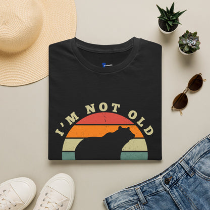 Funny Gen X Shirt Im Not Old Retro Sunset Bear Tee, Vintage 1970s Birthday Gift For Gen Xers, Sarcastic Generation X T-Shirt.